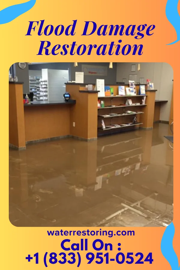 Flood Damage Restoration in Union Hill, IL