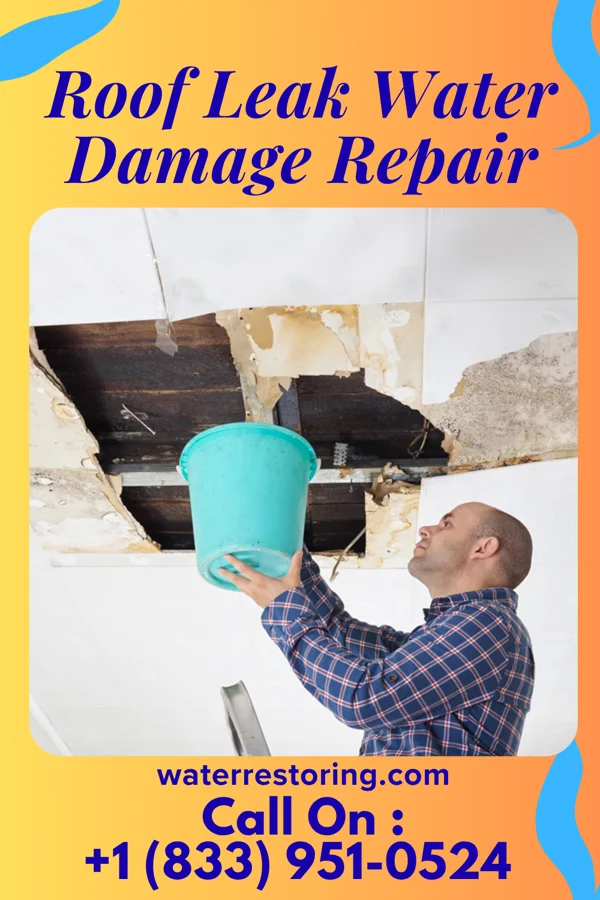 Roof Leak Water Damage Repair in Union Hill, IL